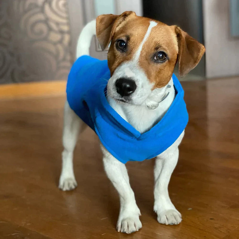 Roupinha para cães - Shop De Tudo