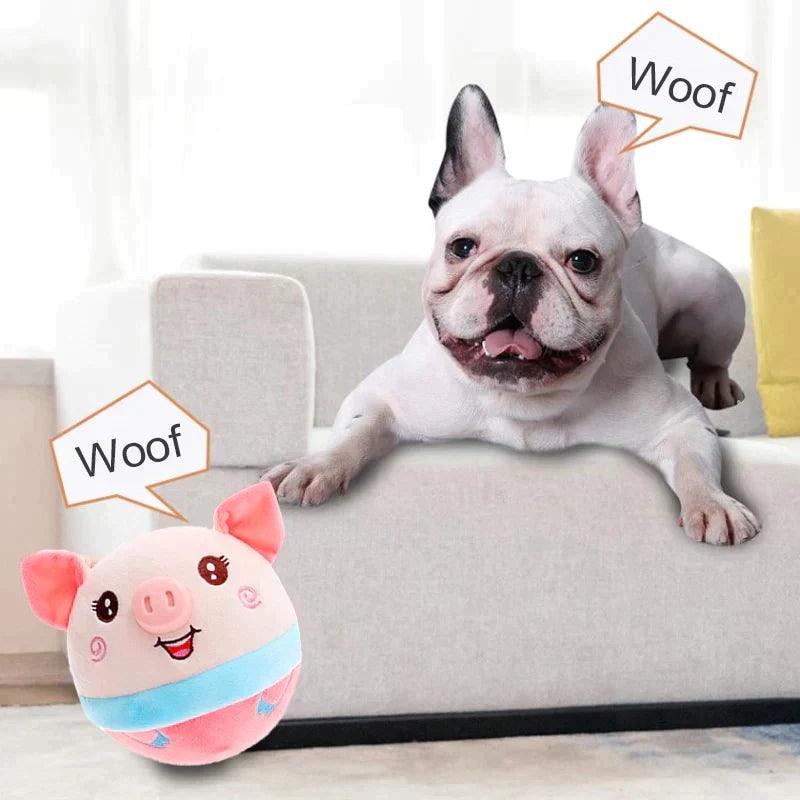 Brinquedo Interativo para Cães - Shop De Tudo