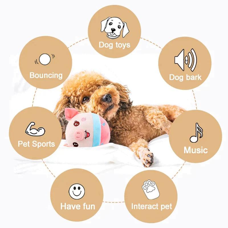 Brinquedo Interativo para Cães - Shop De Tudo